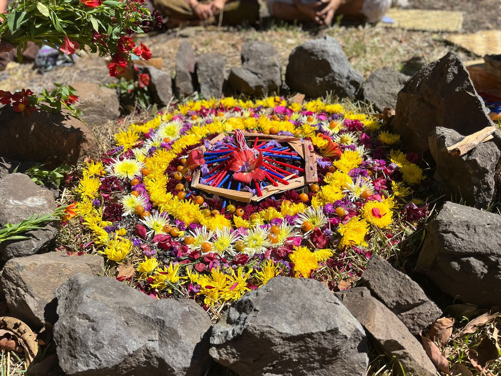 A circular arrangement of colorful flowers and natural elements outdoors